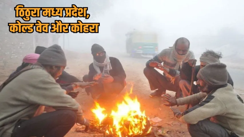mp weather update cold wave and fog alert bhopal indore temperature drop hindi news hindi news zvj