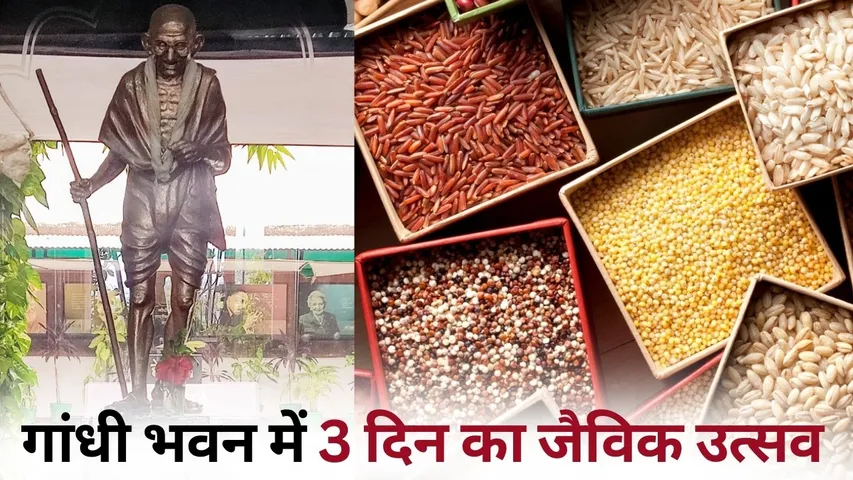 Bhopal Jaivik Utsav Gandhi Bhawan Coarse grains seeds local cuisine hindi news