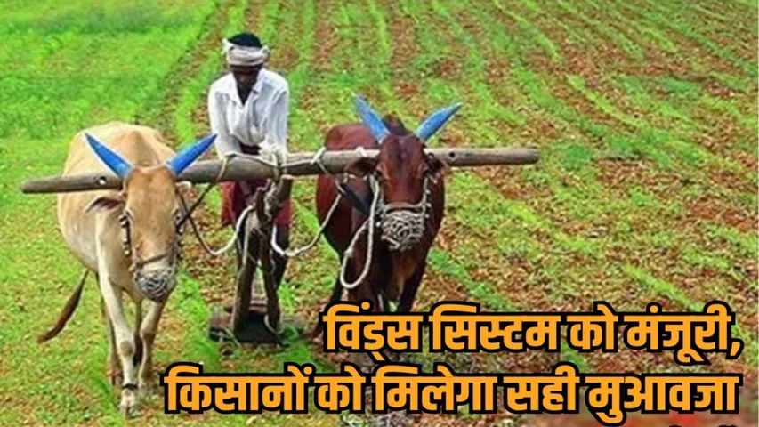 mp cabinet meeting decisions winds system weather station automatic rain gauge pm fasal bima yojana hindi news zvj