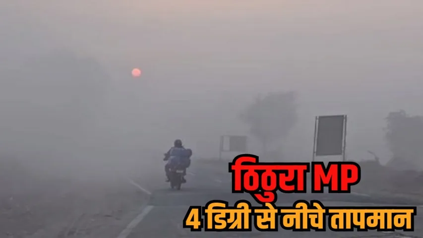 mp weather update pachmarhi coldest new year forecast fog alerts hindi news zvj