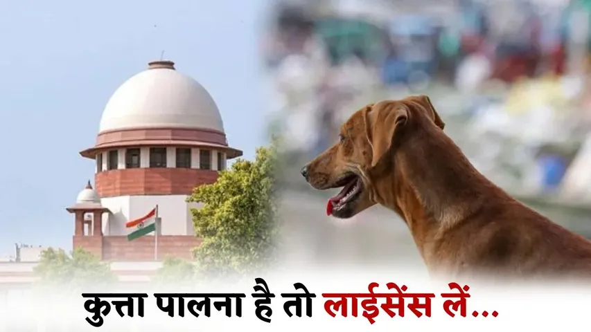 supreme-court-stray-dogs-dog-bite-case-order get license to keep pet dogs hindi zxc (3)