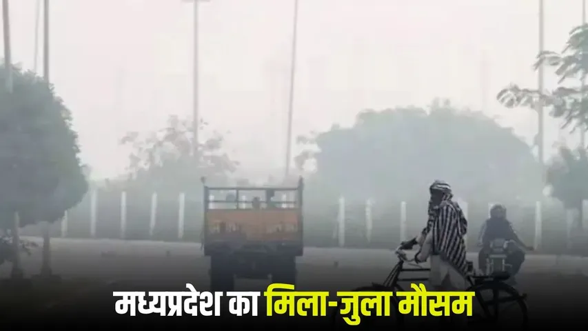 MP Weather Update 19 January 2026