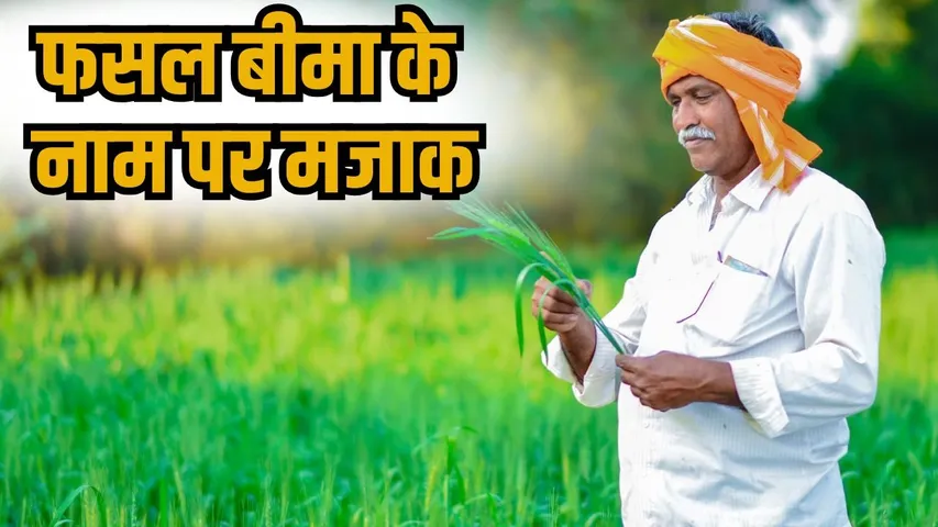 bareilly-crop-insurance-claim-farmers-got-few-rupees hindi news zxc