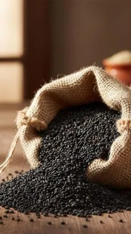 WhatsApp Image 2026-01-23 at 12.41.27 PM