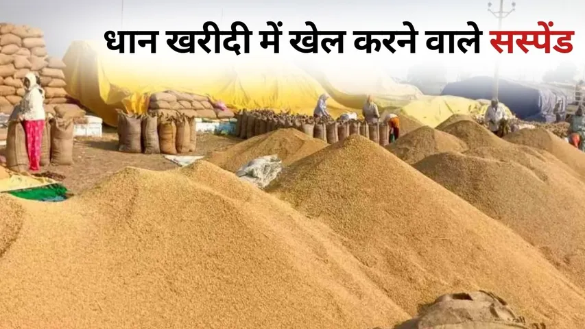 Balod dhan kharidi Krishi Adhikari committee incharge suspend hindi news