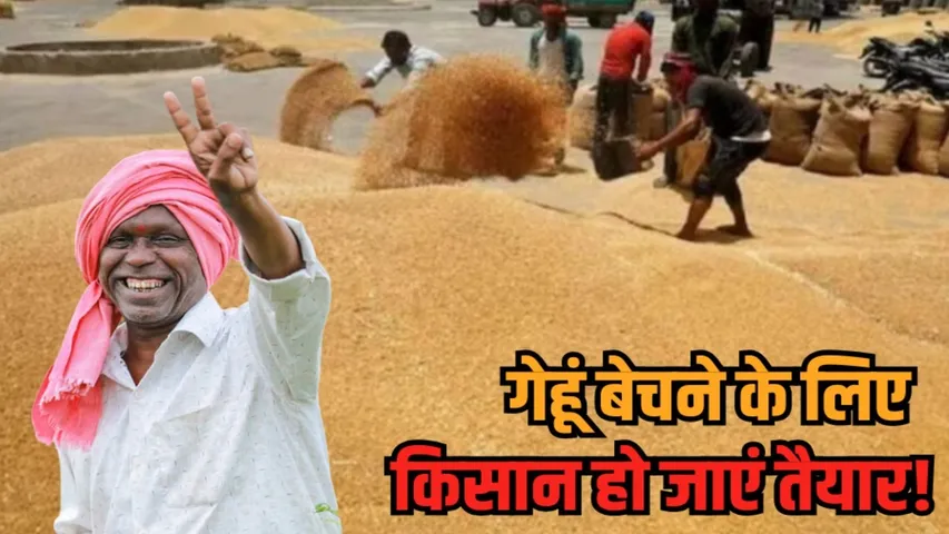 madhya pradesh wheat registration 2026 msp bonus details agriculture news zvj