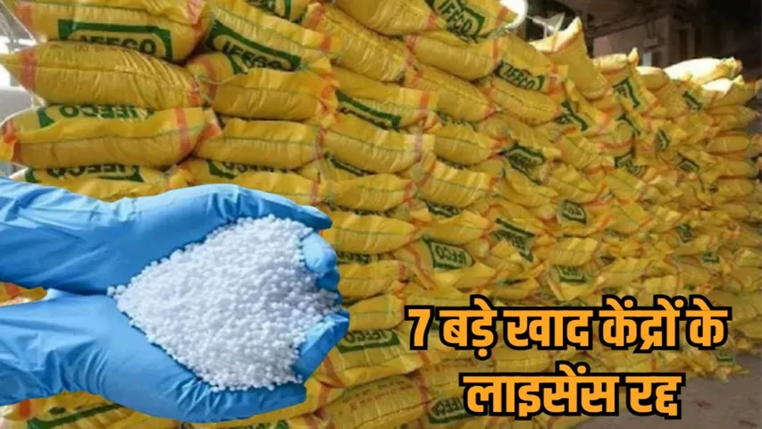 madhya pradesh jabalpur agriculture department action 7 fertilizer license suspended hindi news zvj