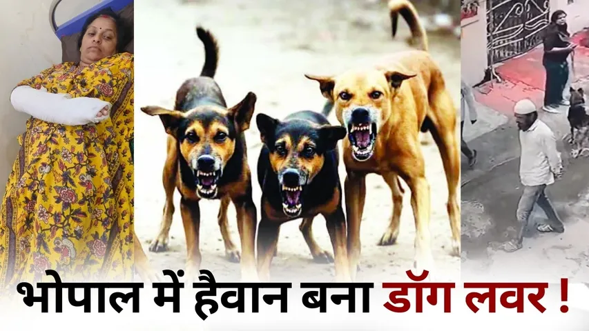 bhopal dog lover attack on womens.jpg