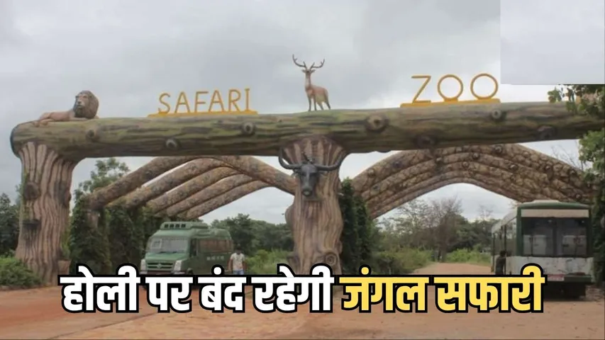 Raipur Nandanvan Jungle Safari