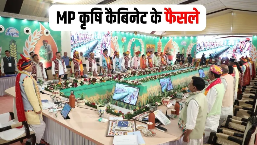 MP Cabinet Decisions