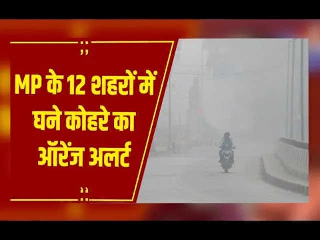 MP Weather : MP में घने कोहरे की दस्तक, 22 जिलों में अलर्ट, कई इलाकों में 50 मीटर विजिबिलिटी