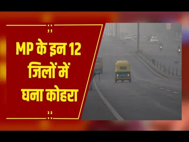 MP Weather : मध्यप्रदेश में कोल्ड वेव की चेतावनी, 12 जिलों में घना कोहरा, हर दिन कई ट्रेने लेट