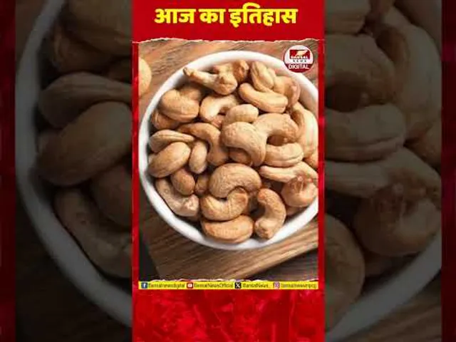 National Cashew Day: 23 नवंबर को हर साल मनाया जाता है राष्ट्रीय काजू दिवस, दिलचस्प है इसका इतिहास