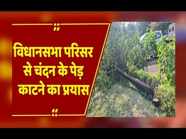 Bhopal: विधानसभा से शीतकालीन सत्र के दौरान चंदन के पेड़ की चोरी,अज्ञात चोरों ने वारदात को दिया अंजाम