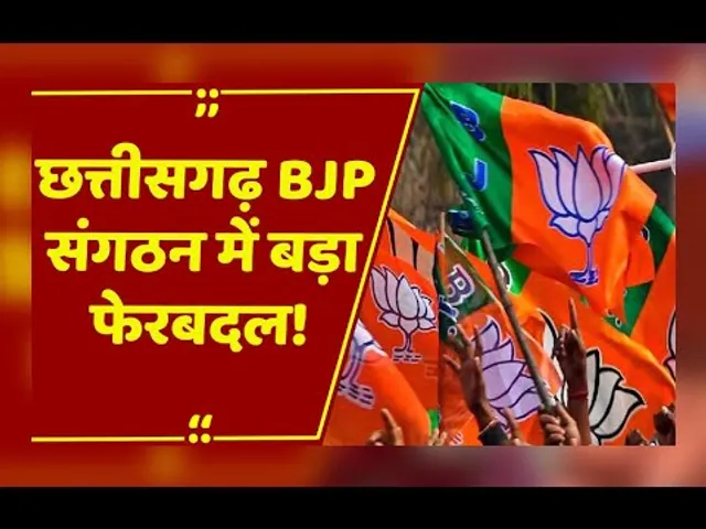 छत्तीसगढ़ BJP में बड़ा फेरबदल, 36 विधानसभा प्रभारियों की नियुक्ति, दिग्गज नेताओं को अहम जिम्मेदारी