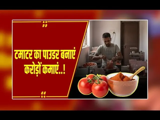 टमाटर का पाउडर बेचकर बनना है करोड़पति, जानें कैसे होगा इस बिजनेस का सेटअप?