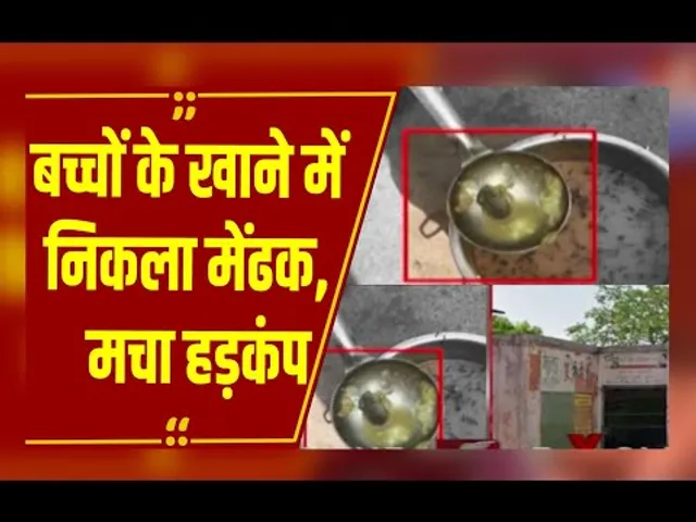 ग्वालियर: मिड-डे मील में बड़ी लापरवाही, आलू की सब्जी में मेंढक मिलने से मचा हड़कंप
