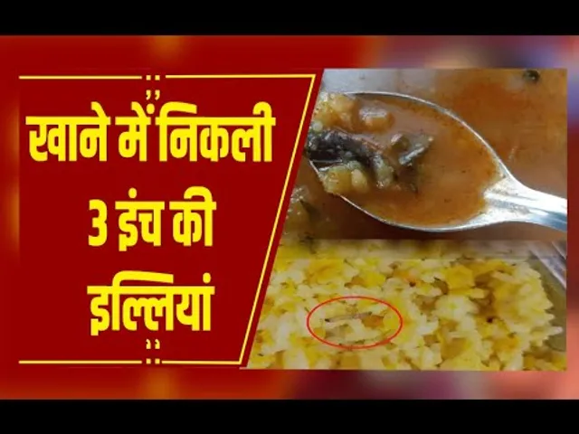 Khandwa : कन्या छात्रावास के खाने में निकली 3 इंच की इल्लियां, छात्राओं की सेहत से खिलवाड़