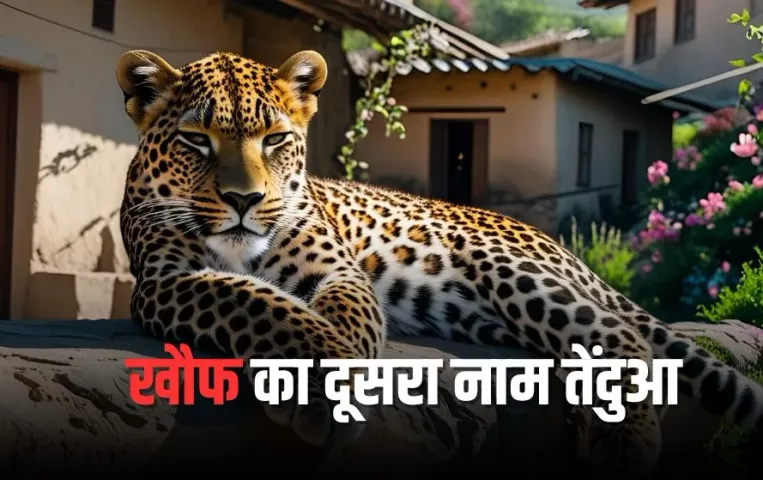 Varanasi Leopard Terror: खौफ का दूसरा नाम तेंदुआ, लाठियां लेकर पहरा दे रहे 6 गांव के लोग, दहशत में हजारों लोग