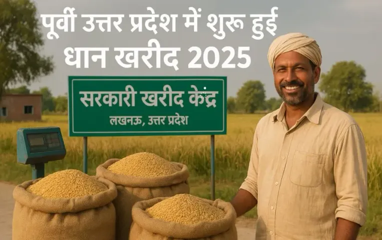 पूर्वी उत्तर प्रदेश में 1 नवंबर से शुरू होगी धान खरीद: 48 घंटे में होगा भुगतान, 2.17 लाख किसानों ने पंजीकरण कराया