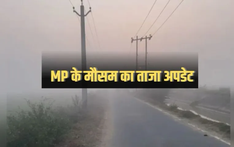 Weather of MP: एमपी के 14 शहर शीतलहर की चपेट में, 24 जिलों में कोहरा, जानिए अगले 24 घंटे कैसा रहेगा मौसम