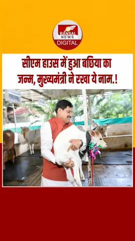 CM हाउस में बनी गौशाला में आया नया मेहमान, गाय ने दिया बछिया को जन्म, मुख्यमंत्री ने किया नामकरण