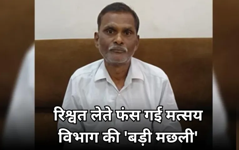 फिशरीज डिपार्टमेंट का सहायक संचालक रिश्वत लेते गिरफ्तार: हाईकोर्ट के स्टे मामले में जवाब देने के लिए मांगे थे 5 हजार