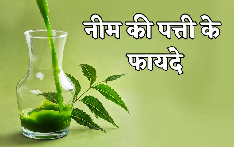 करी पत्ते के उपयोग: आसानी से मिलने वाली नीम की पत्तियां खाना बनाने के साथ-साथ सफाई में भी आती हैं काम
