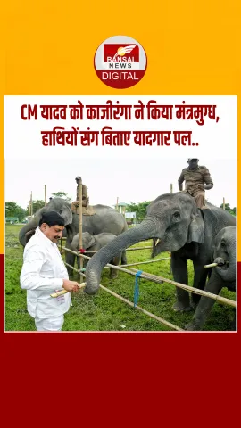 CM मोहन यादव ने काजीरंगा में जंगल सफारी का लिया आनंद, हाथियों को गन्ना खिलाकर किया दुलार...