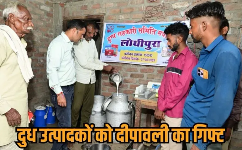 Milk Price Hike 2025: भोपाल दुग्ध संघ ने दीपावली से पहले दूध उत्पादकों को दी खुशखबरी, दूध की कीमतों में ऐतिहासिक बढ़ोतरी