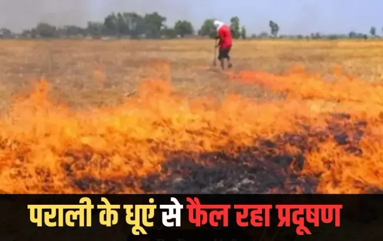 Bhopal stubble burning