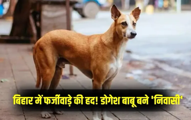 Bihar Navada Dogesh Babu Residence Certificate Case hindi news zxc (1)