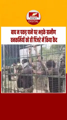 बाघों का रेस्क्यू करने गए वन अधिकारीयों को किसानों ने किया पिंजरे में बंद , देखें video