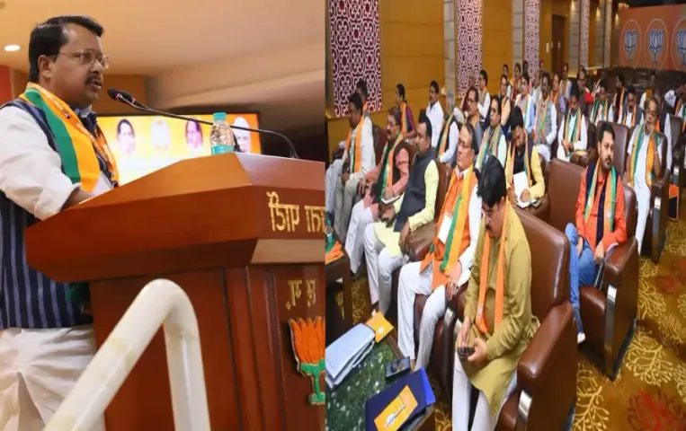 CG BJP Mayor Candidate