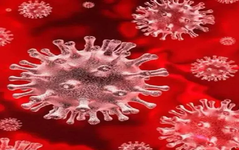 CG Corona Active Case