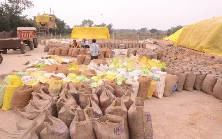 CG Dhan Kharidi Scam