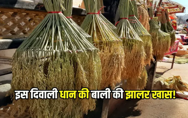 CG Diwali Dhan Jhalar-Jhoomar