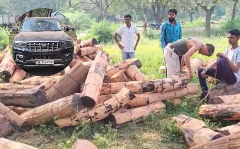 रायगढ़ में वन विभाग की बड़ी कार्रवाई: 18 चक्का ट्रक से लाखों की अवैध लकड़ी और और स्कॉर्पियो जब्त, एक आरोपी गिरफ्तार