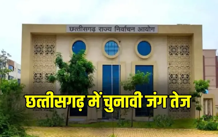 CG Nikay Chunav 2025