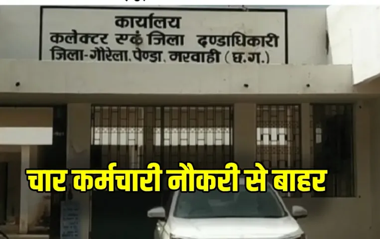 CG Teachers Terminated