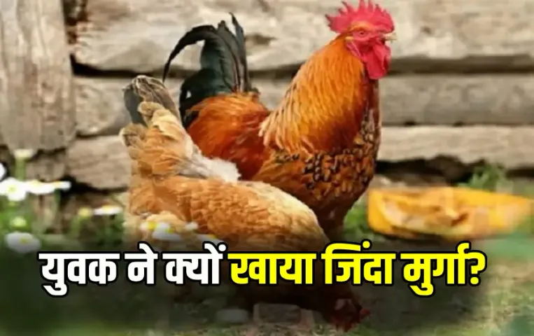 CG Youth Eats Live Chicken। Ambikapur