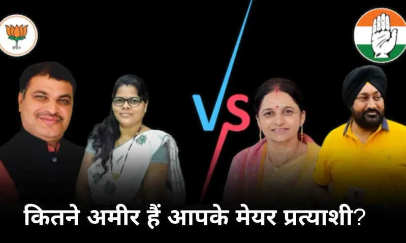 छत्तीसगढ़ में 10 मेयर पद के 79 प्रत्याशी: 8 कैंडिडेट करोड़पति, इन 3 का क्रिमिनल रिकॉर्ड, जानें कौन कितना अमीर