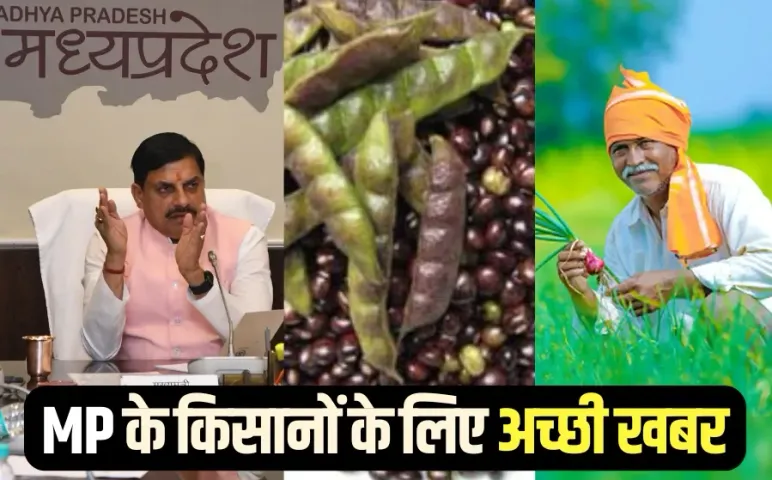 MP कृषि विभाग की समीक्षा बैठक: इन 3 फसलों को मिल सकता है GI टैग, सीएम मोहन बोले- किसानों से श्रीअन्न खरीदेगी सरकार