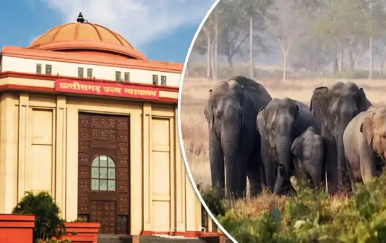 Chhattisgarh Elephants Death