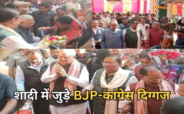 Chhattisgarh High profile marriage