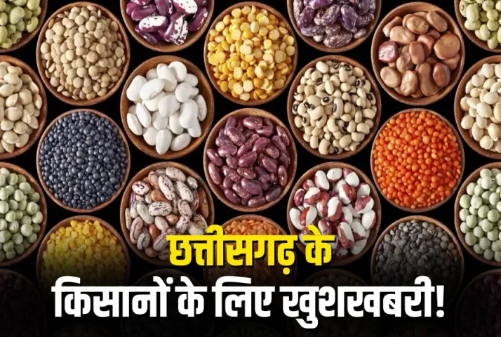 Chhattisgarh Seed Production Subsidy, CG Tilhan Beej Anudan