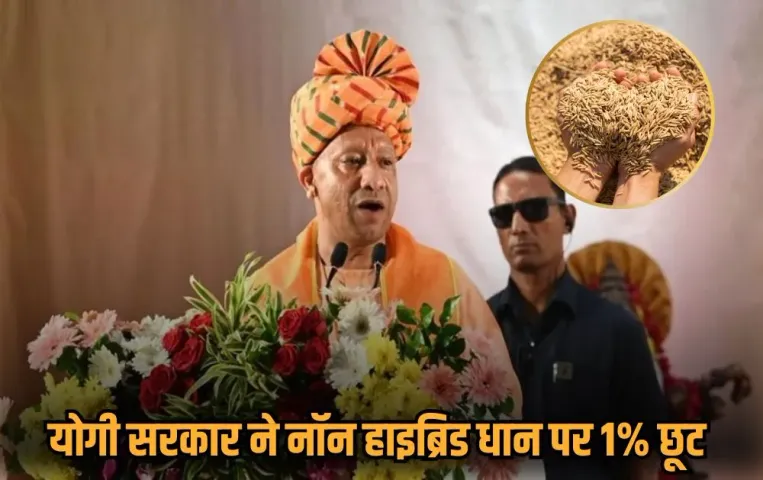 CM Yogi: CM योगी देंगे माफिया मुख्तार से खाली कराई गई जमीन पर बने 72 EWS फ्लैट्स की चाबी, गरीबों को मिलेगा नया आशियाना