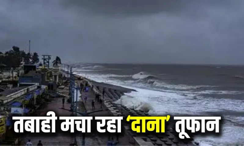 Cyclone Dana Updates