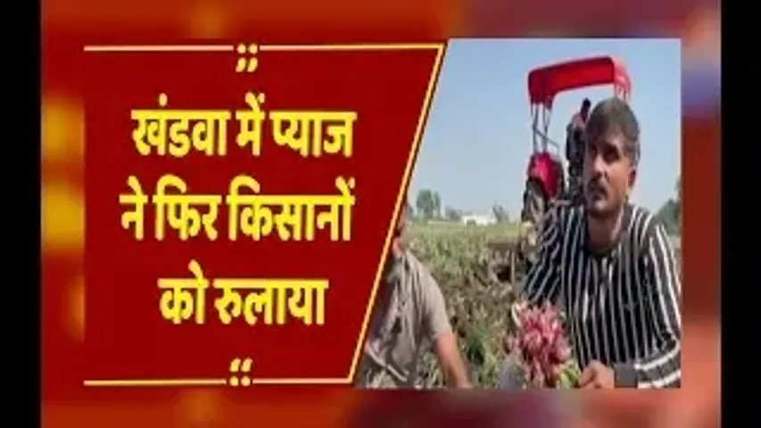 Onion Crisis :  खंडवा में प्याज ने फिर किसानों को रुलाया, लागत न मिलने से खेतों में ही नष्ट की फसल