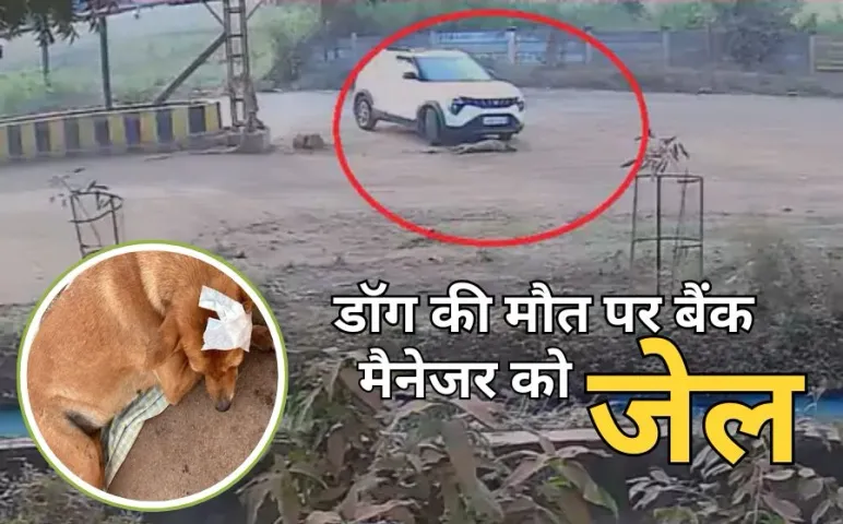 Bhilai Dog Death